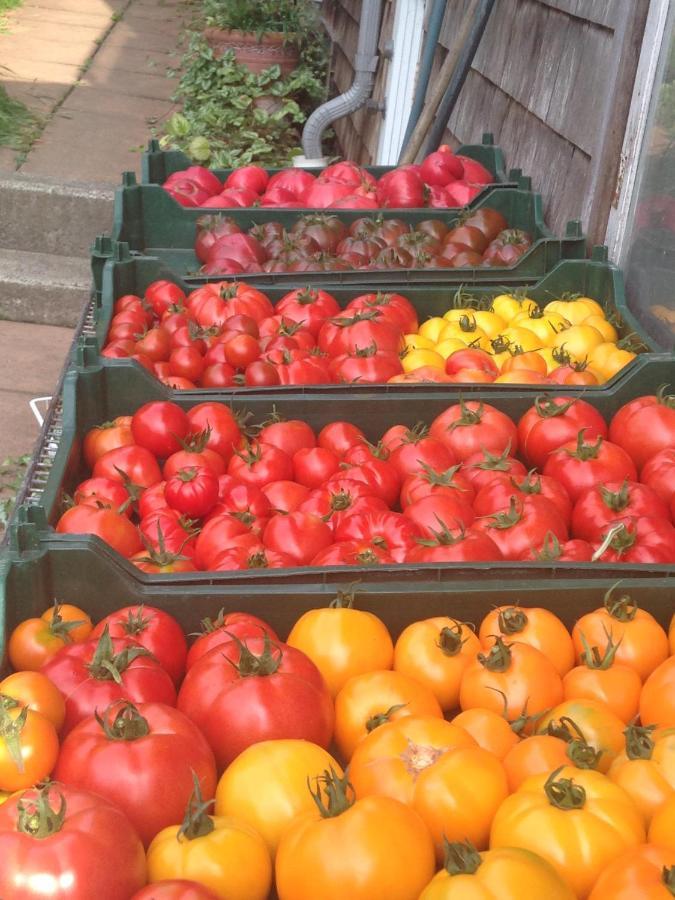 Nettles Farm Hotel Lummi Island Екстериор снимка